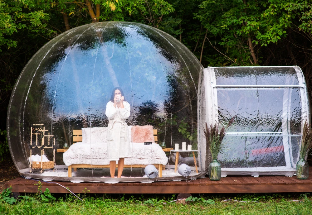 night sky bubble tent